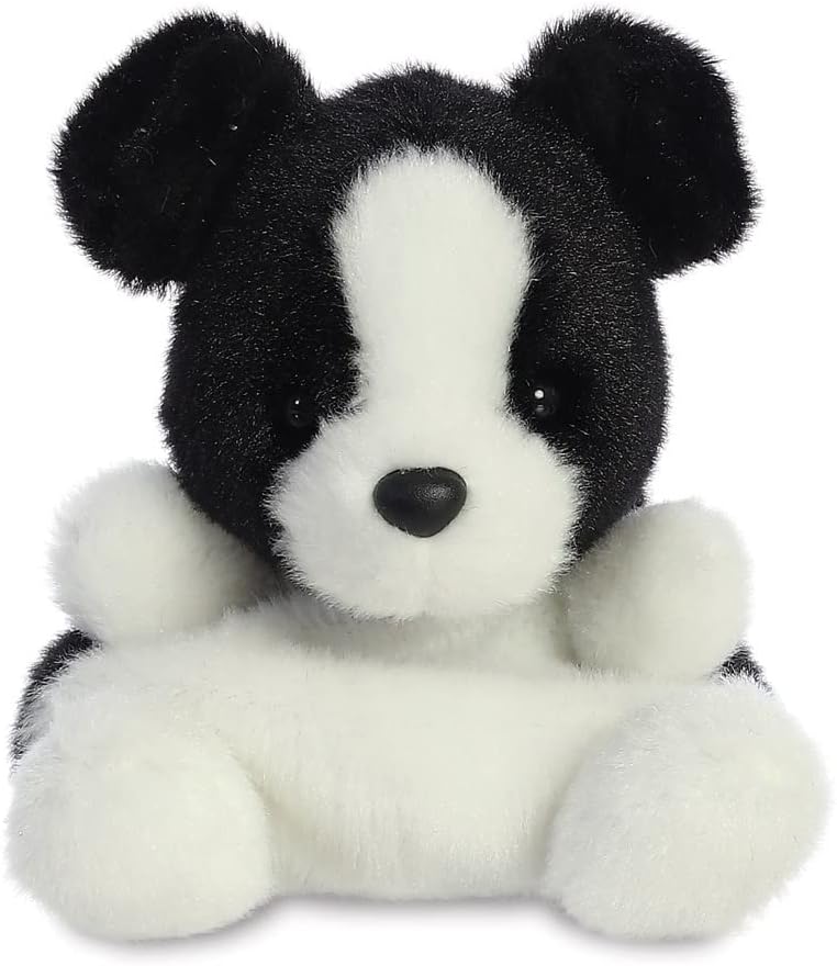 brodie collie