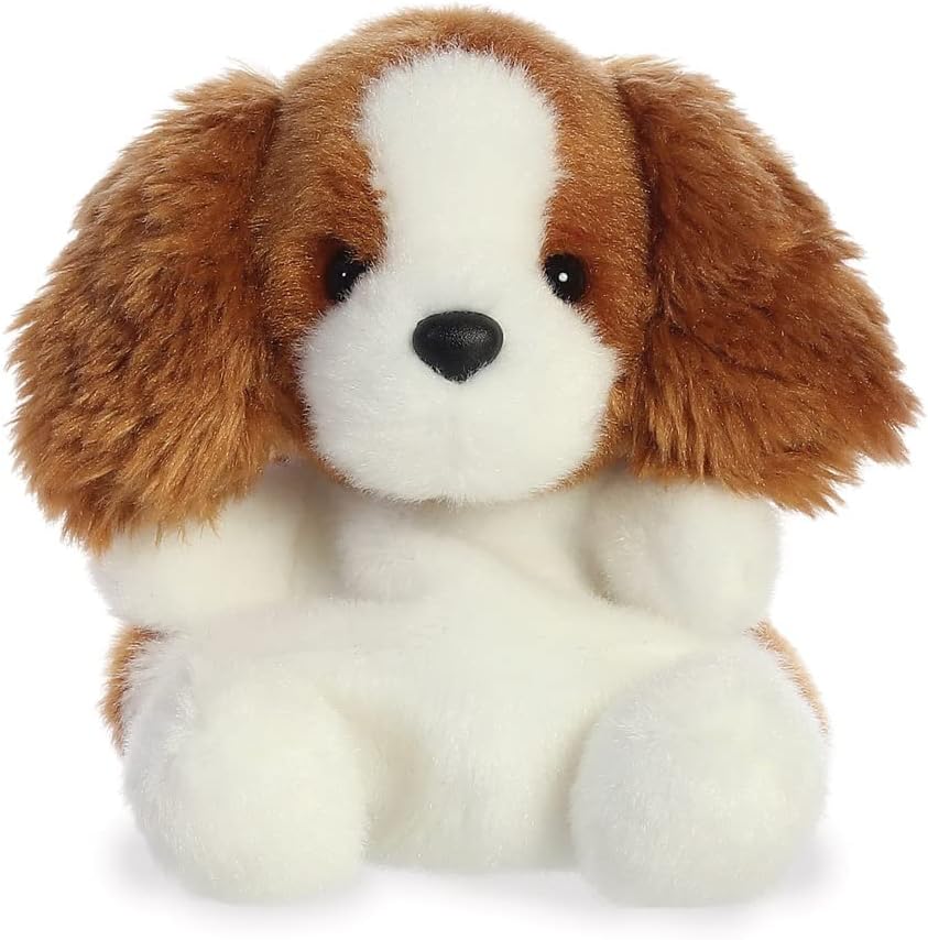 lady spaniel