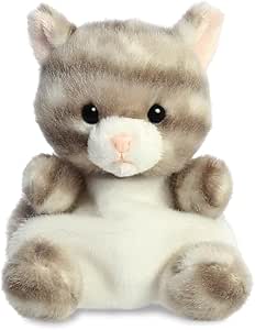 silver kitty