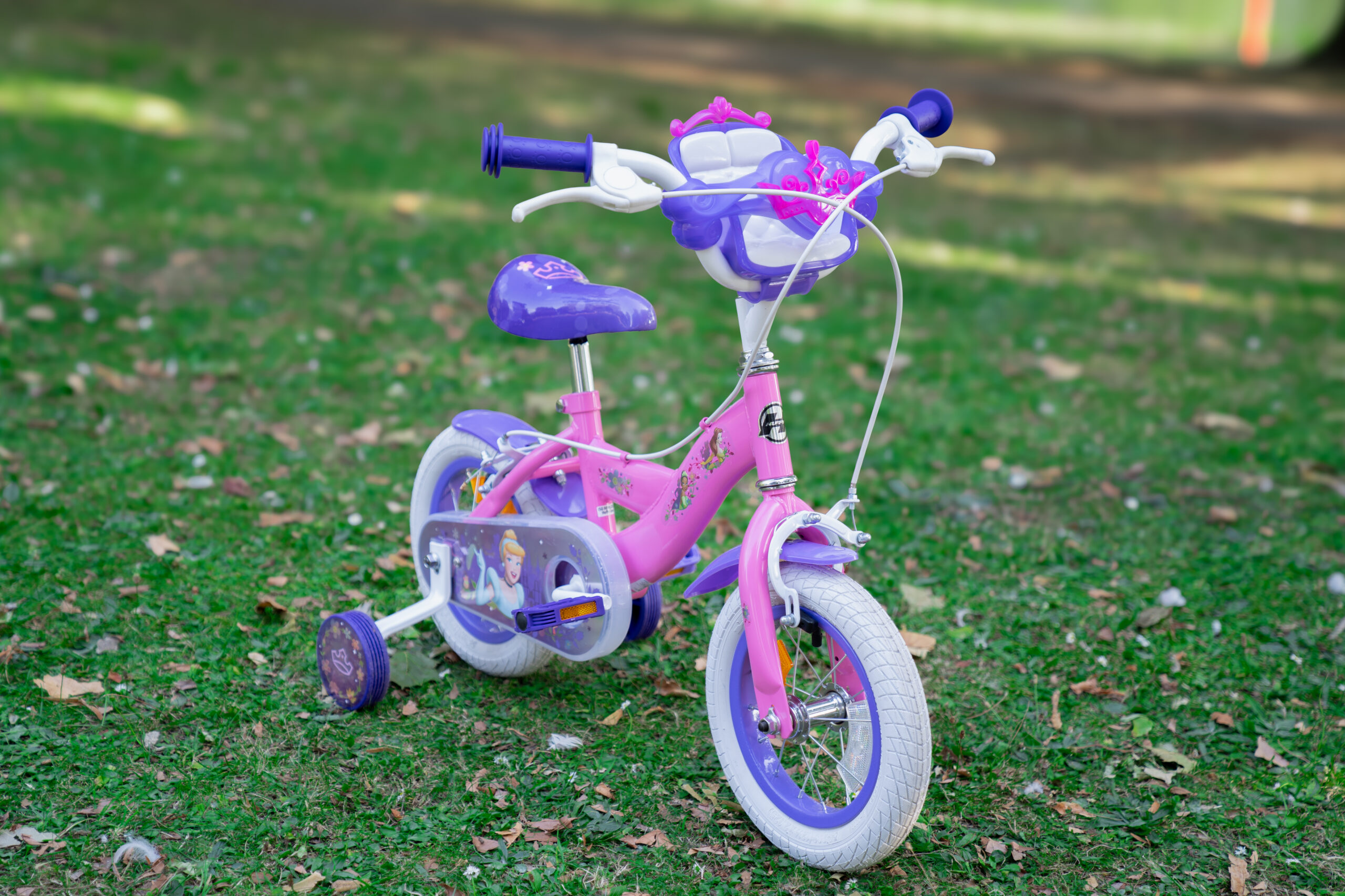 22949W Princess 12inch - Lifestyle NEW (6)